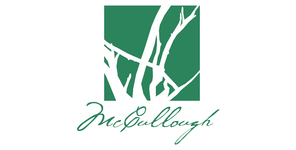 Platinum Partner logo